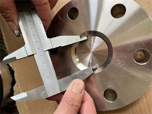 310S flanges most widely used in power generation