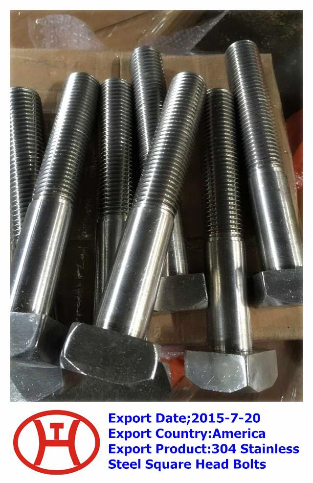 Tuerca de pernos de cabeza cuadrada de acero inoxidable 304