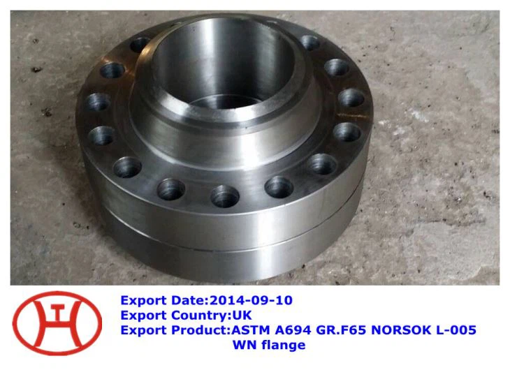 Brida ASTM A694 F65 NORSOK L-005 WN