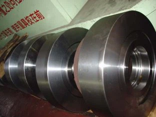 Disco de anillo de forja nitrónico  60