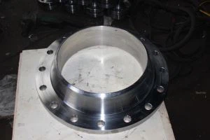 Brida de acero inoxidable dúplex ASTM A182 F51 F53 F55 F44 F904L WN SW BL SO TH