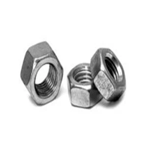 1.4466 Tuerca hexagonal