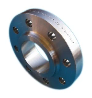 Brida So de acero inoxidable 317