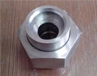 Incoloy 825 UNS N08825 2.. 4858 Tapón de acoplamiento Casquillo Unión de inserción de reducción de pezón